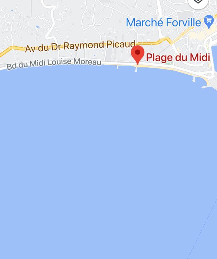 Appartement Rooftop, Premiere Ligne, Vue Mer, 50m De Du Midi Cannes
