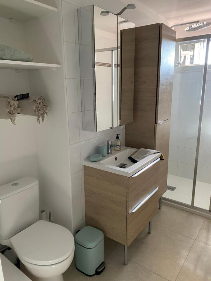 Appartement Rooftop, Premiere Ligne, Vue Mer, 50m De Du Midi *